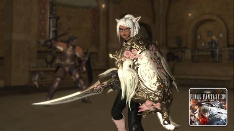 how to become paladin ff14.